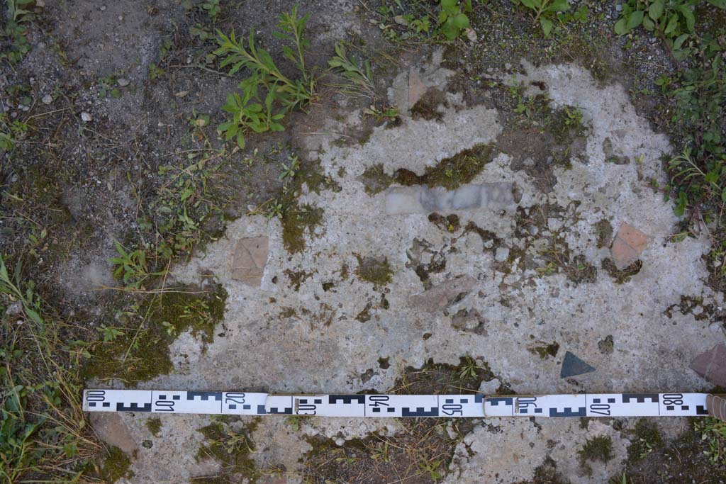 IX.5.14 Pompeii. May 2017. Room �L�, detail of flooring.
Foto Christian Beck, ERC Grant 681269 D�COR.

