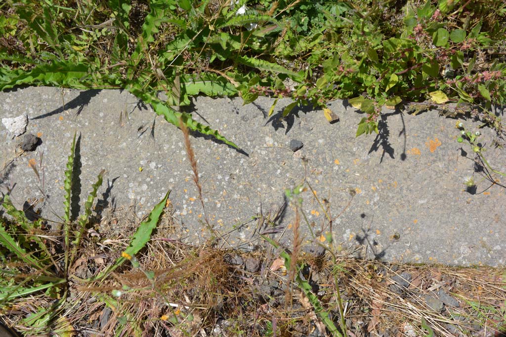 IX.5.14 Pompeii. May 2017. Peristyle �k�, threshold of doorway to servants� area.
Foto Christian Beck, ERC Grant 681269 D�COR.
