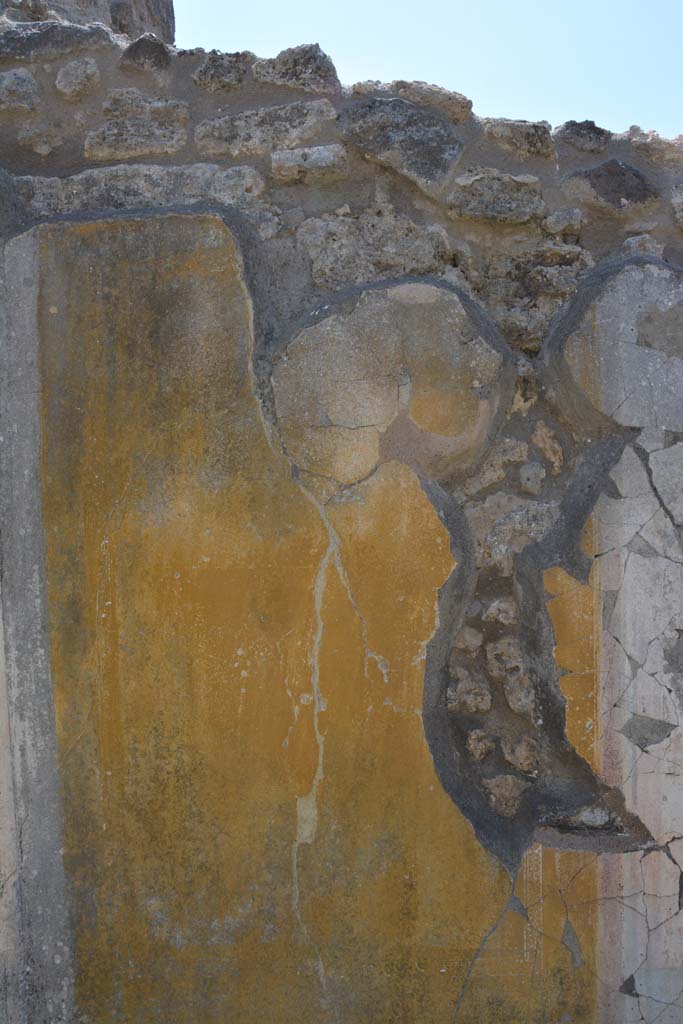 IX.5.14 Pompeii. May 2017. Peristyle �k�, detail from panel at east end of south wall.
Foto Christian Beck, ERC Grant 681269 D�COR.

