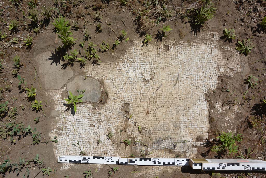 IX.5.14 Pompeii. May 2017. Room �m�, flooring.
Foto Christian Beck, ERC Grant 681269 D�COR.

