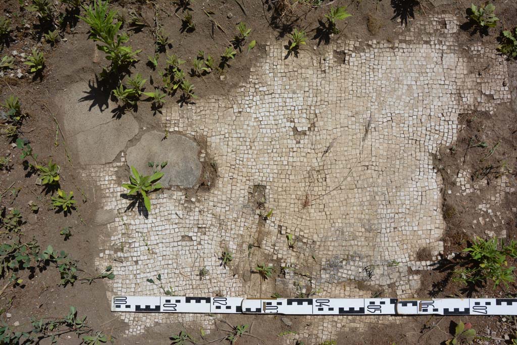  
IX.5.14 Pompeii. May 2017. Room �m�, detail of white mosaic flooring.
Foto Christian Beck, ERC Grant 681269 D�COR.

