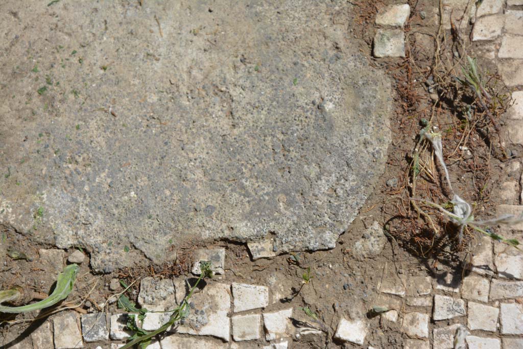 IX.5.14 Pompeii. May 2017. Room �m�, detail of mosaic flooring.
Foto Christian Beck, ERC Grant 681269 D�COR.
