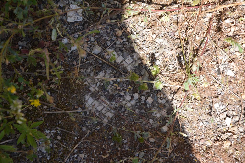 IX.5.14 Pompeii. May 2017. Room �m�, remaining white mosaic in floor.
Foto Christian Beck, ERC Grant 681269 D�COR.

