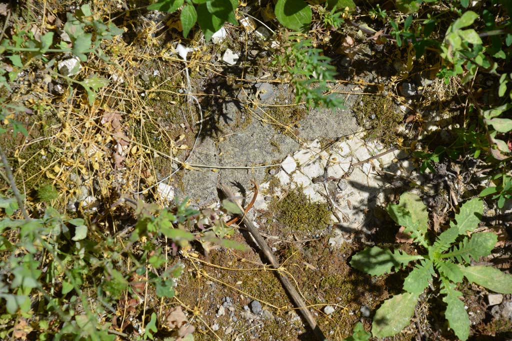 IX.5.14 Pompeii. May 2017. Room �m�, remaining white mosaic in floor.
Foto Christian Beck, ERC Grant 681269 D�COR.

