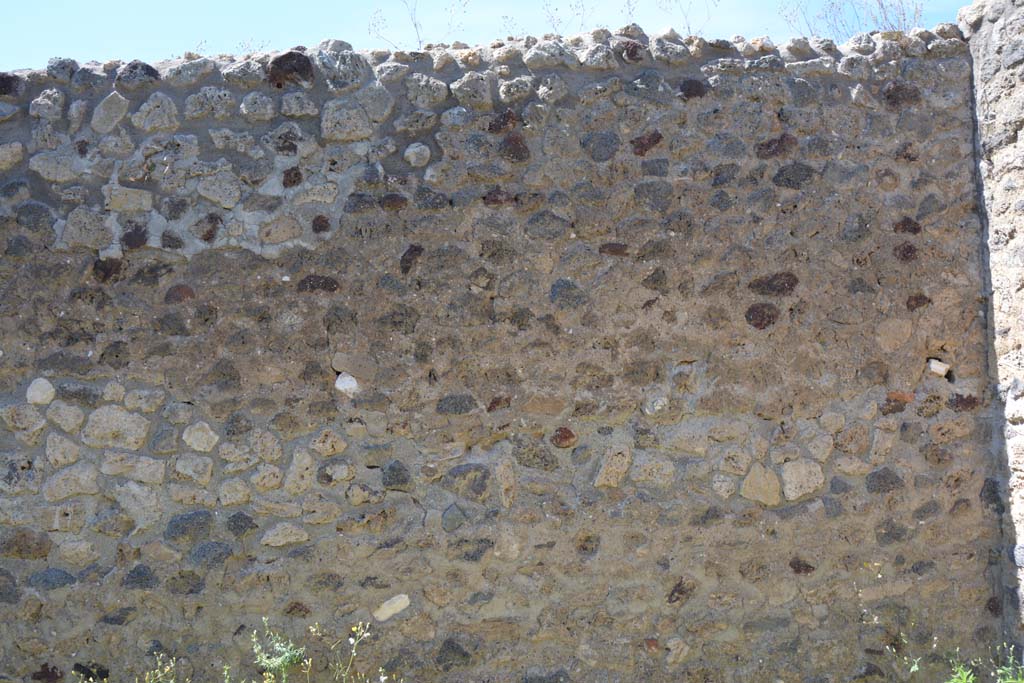 IX.5.14 Pompeii. May 2017. Room �m�, north wall at east end.
Foto Christian Beck, ERC Grant 681269 D�COR.

