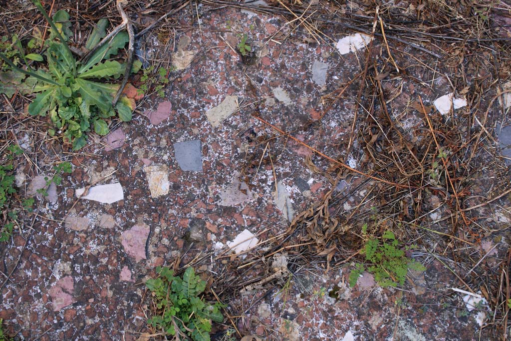 IX.5.14 Pompeii. May 2019. Room �n�, detail of flooring.
Foto Christian Beck, ERC Grant 681269 D�COR.
