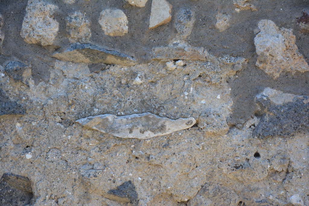 IX.5.14 Pompeii. May 2017. Room “r”, detail from west wall.
Foto Christian Beck, ERC Grant 681269 DÉCOR.