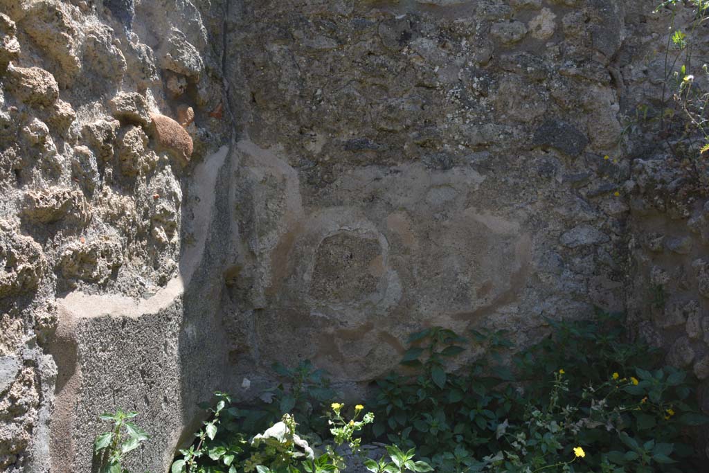 IX.5.14 Pompeii. May 2017. Room “t”, detail from lower south wall.
Foto Christian Beck, ERC Grant 681269 DÉCOR.