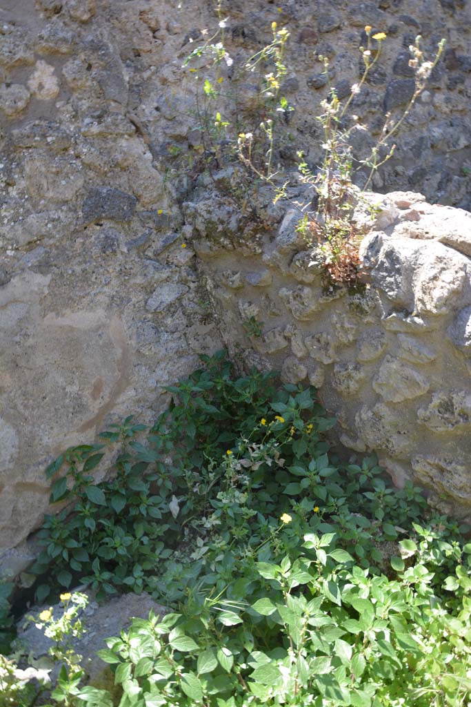 IX.5.14 Pompeii. May 2017. Room “t”, detail from lower south-west corner.
Foto Christian Beck, ERC Grant 681269 DÉCOR.