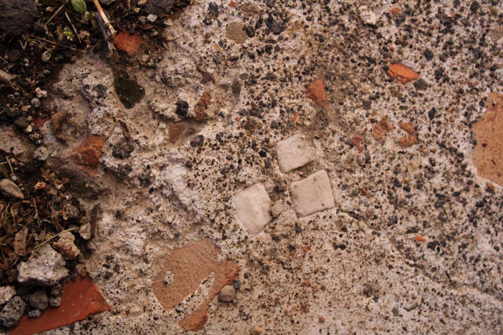 IX.5.14 Pompeii. May 2019. Room �f�, detail of flooring.
Foto Christian Beck, ERC Grant 681269 D�COR.
