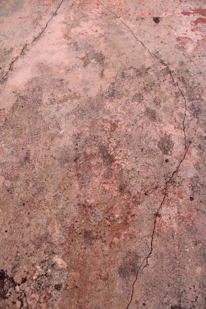 IX.5.14 Pompeii. May 2019. Room �f�, figure of Muse in centre of north panel on east wall.
Foto Christian Beck, ERC Grant 681269 D�COR.

