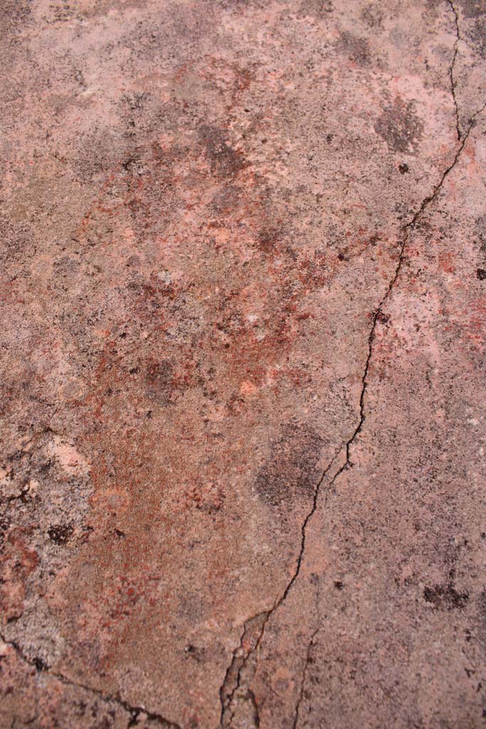 IX.5.14 Pompeii. May 2019. 
Room �f�, detail of figure of Muse Melpomene in centre of north panel on east wall.
Foto Christian Beck, ERC Grant 681269 D�COR.
