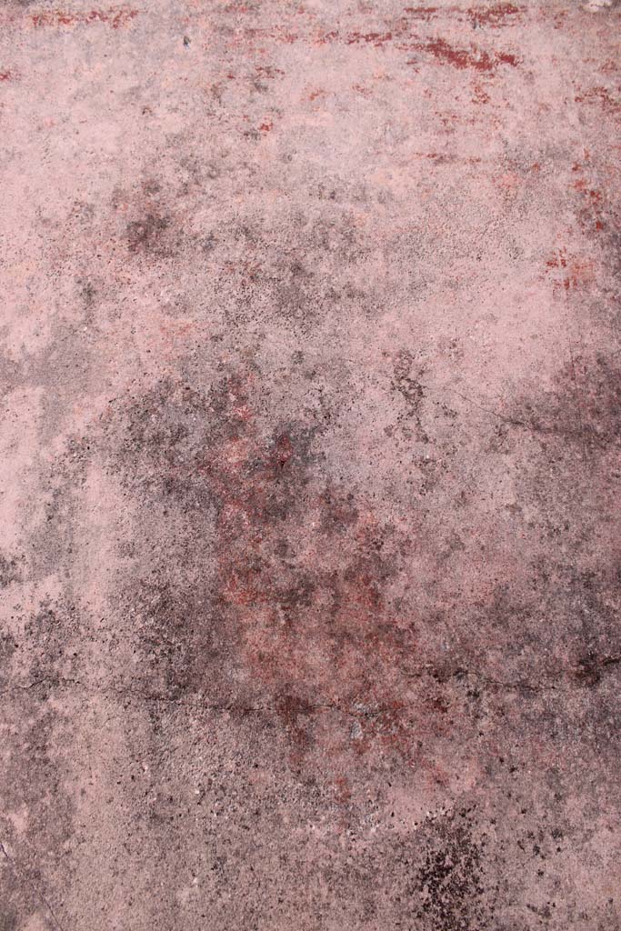 IX.5.14 Pompeii. May 2019. 
Room �f�, figure of Muse Thalia in centre of south panel on east wall.
Foto Christian Beck, ERC Grant 681269 D�COR.
