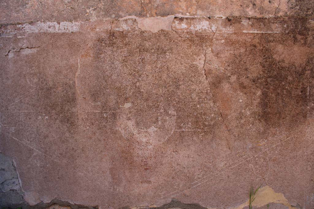 IX.5.14 Pompeii. May 2019. Room �f�, zoccolo on east wall at north end.
Foto Christian Beck, ERC Grant 681269 D�COR.
