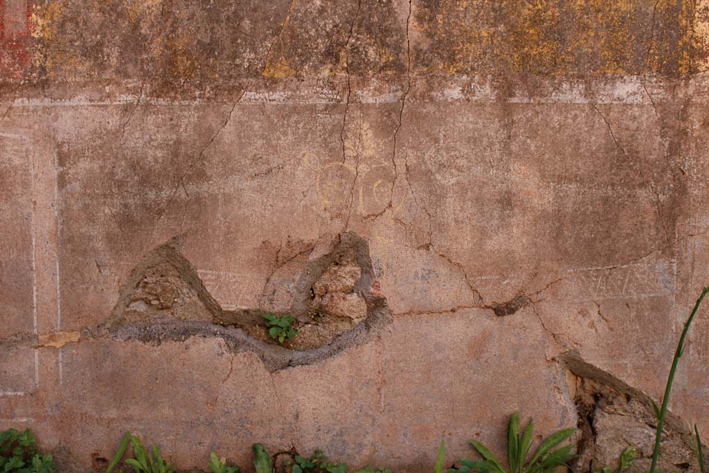 IX.5.14 Pompeii. May 2019. Room �f�, zoccolo on south wall.
Foto Christian Beck, ERC Grant 681269 D�COR.

