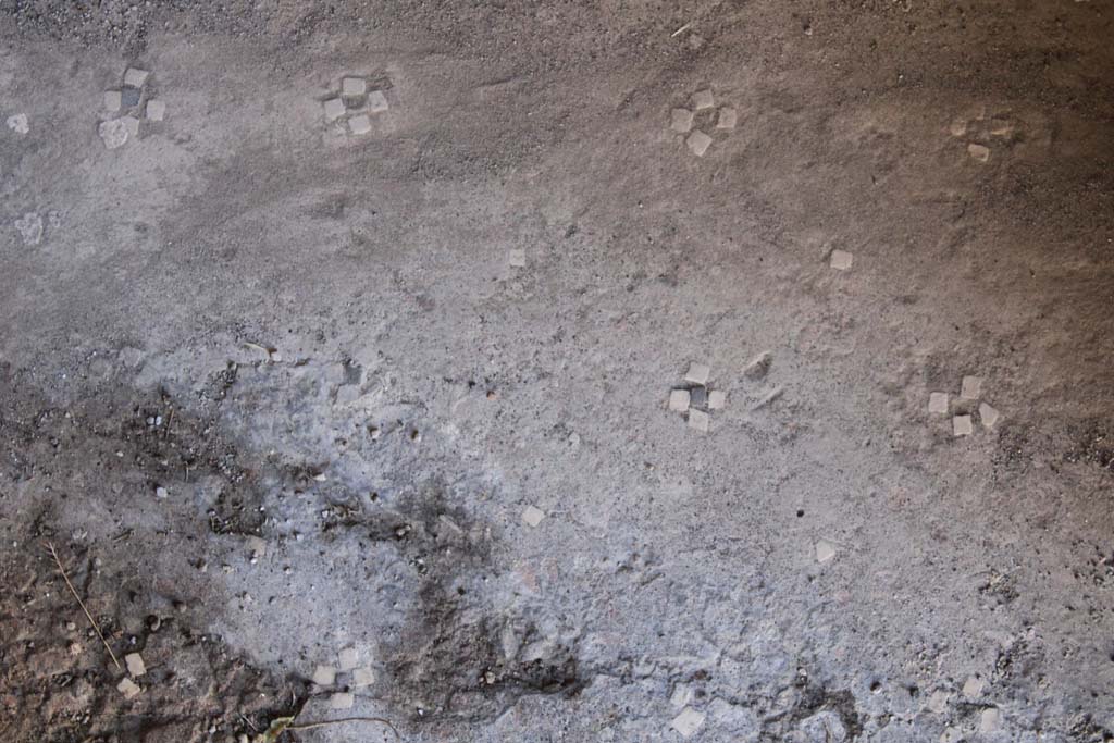 IX.5.14 Pompeii. May 2019. 
Room �b�, the atrium floor, similar to room �c�, comprised of four white stones forming a cross with a black centre, separated by a single white stone.
Foto Christian Beck, ERC Grant 681269 D�COR.

