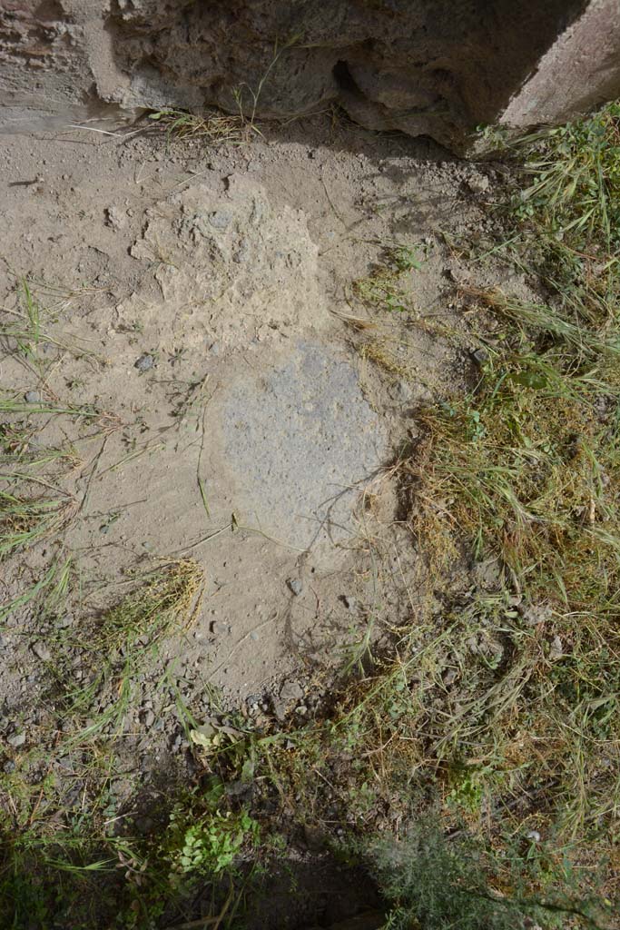 IX.5.14 Pompeii. May 2017. Room �d�, flooring near doorway.
Foto Christian Beck, ERC Grant 681269 D�COR.

