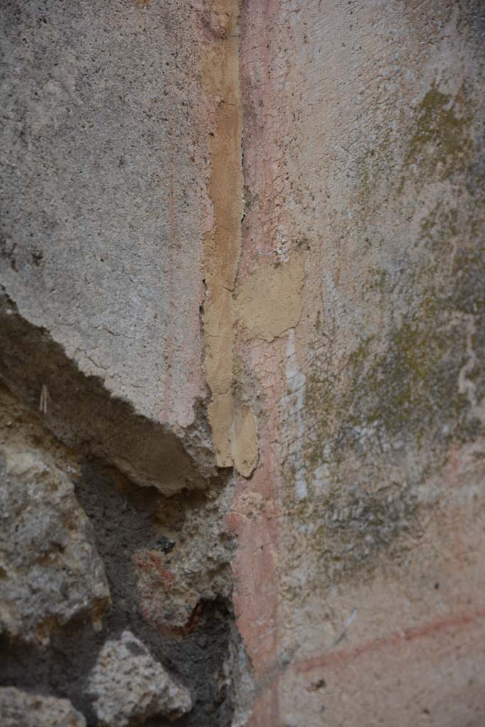 IX.5.14 Pompeii. May 2017. Room �d�, detail from north-west corner.
Foto Christian Beck, ERC Grant 681269 D�COR.
