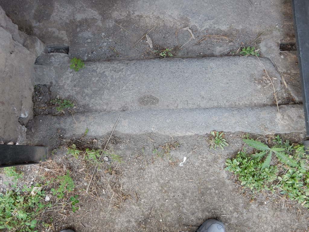 IX.5.16 Pompeii. June 2019. Threshold to doorway of room f’. Photo courtesy of Buzz Ferebee.