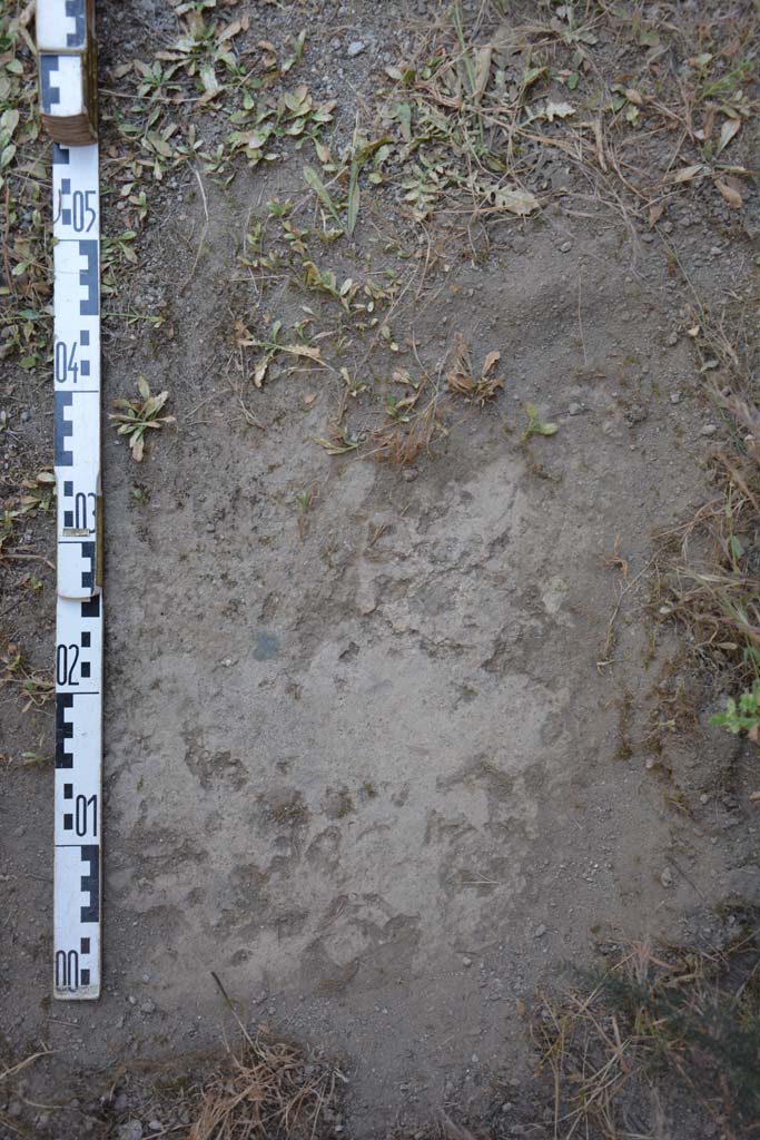 IX.5.17/6 Pompeii. May 2017. Room x, flooring.
Foto Christian Beck, ERC Grant 681269 D�COR.
