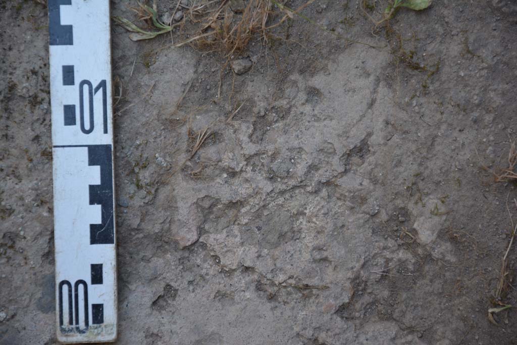 IX.5.17/6 Pompeii. May 2017. Room x, detail of flooring.
Foto Christian Beck, ERC Grant 681269 D�COR.


