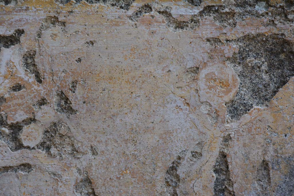 IX.5.6/17 Pompeii. May 2017. Room u, detail of remaining wall decoration.  
Foto Christian Beck, ERC Grant 681269 D�COR.

