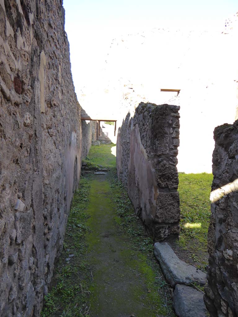 IX.5.17 Pompeii. January 2017.
Looking north from entrance doorway along corridor y to doorway to garden u (of IX.5.6).
Doorway to the stable q leading to room x is on the right.
Foto Annette Haug, ERC Grant 681269 DÉCOR