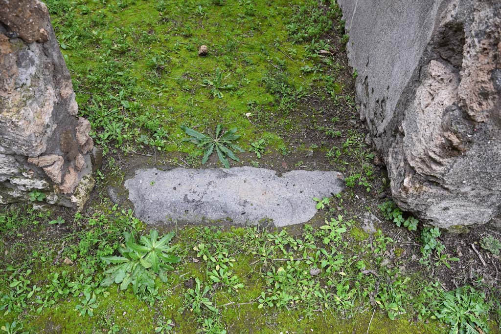 IX.5.18 Pompeii. March 2018. Room “s”, doorway threshold, looking north.
Foto Annette Haug, ERC Grant 681269 DÉCOR.
