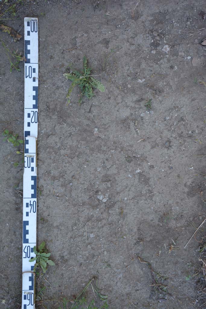 IX.5.18 Pompeii. May 2017. Room r, detail of flooring.
Foto Christian Beck, ERC Grant 681269 DÉCOR.