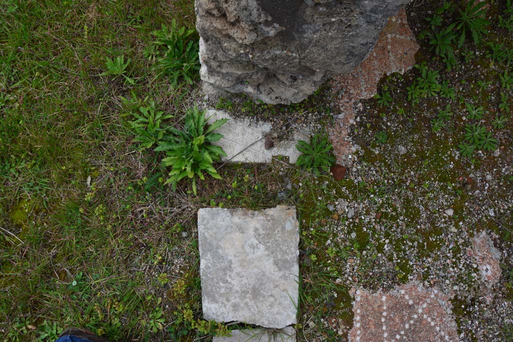 IX.5.18 Pompeii. March 2017. Room p, detail from west side of doorway in corridor q.
Foto Christian Beck, ERC Grant 681269 DÉCOR.