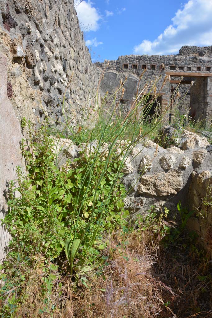 IX.5.18 Pompeii. May 2017. Room m, south wall of cupboard
Foto Christian Beck, ERC Grant 681269 DÉCOR.