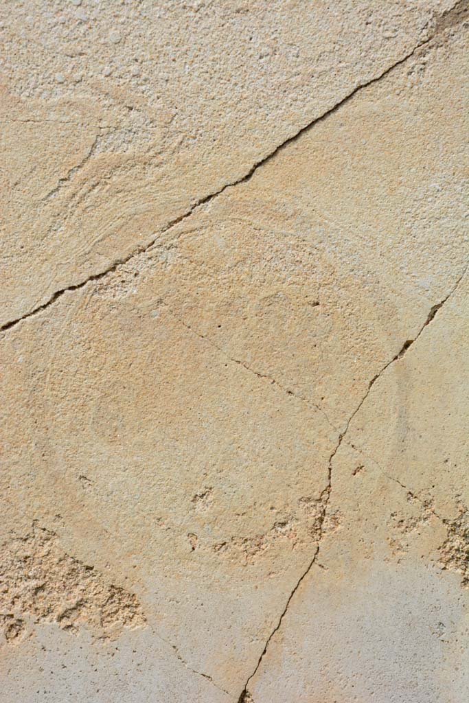 IX.5.18 Pompeii. March 2017.
Room o, detail of faded medallion in central panel on north wall.
Foto Christian Beck, ERC Grant 681269 DÉCOR.