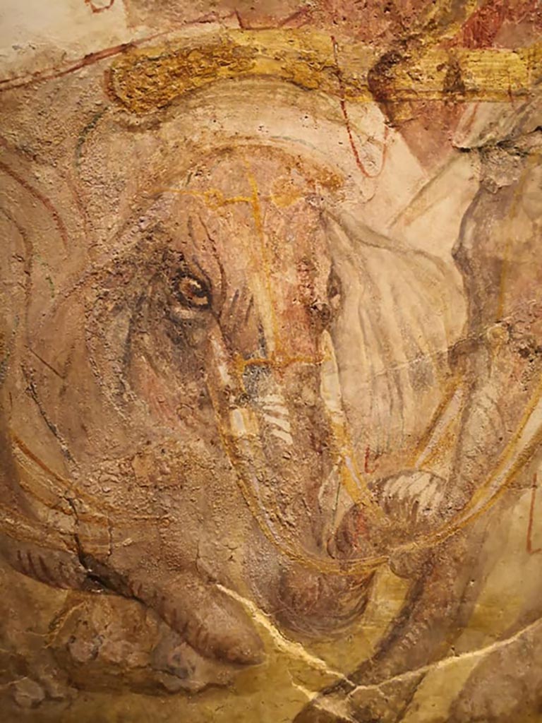 Between IX.7.7 and IX.7.6 Pompeii. Detail of the central elephants, from pilaster on east side of doorway.
From the exhibition “Pompei e Santorini”, Rome, 2019. Photo courtesy of Giuseppe Ciaramella.