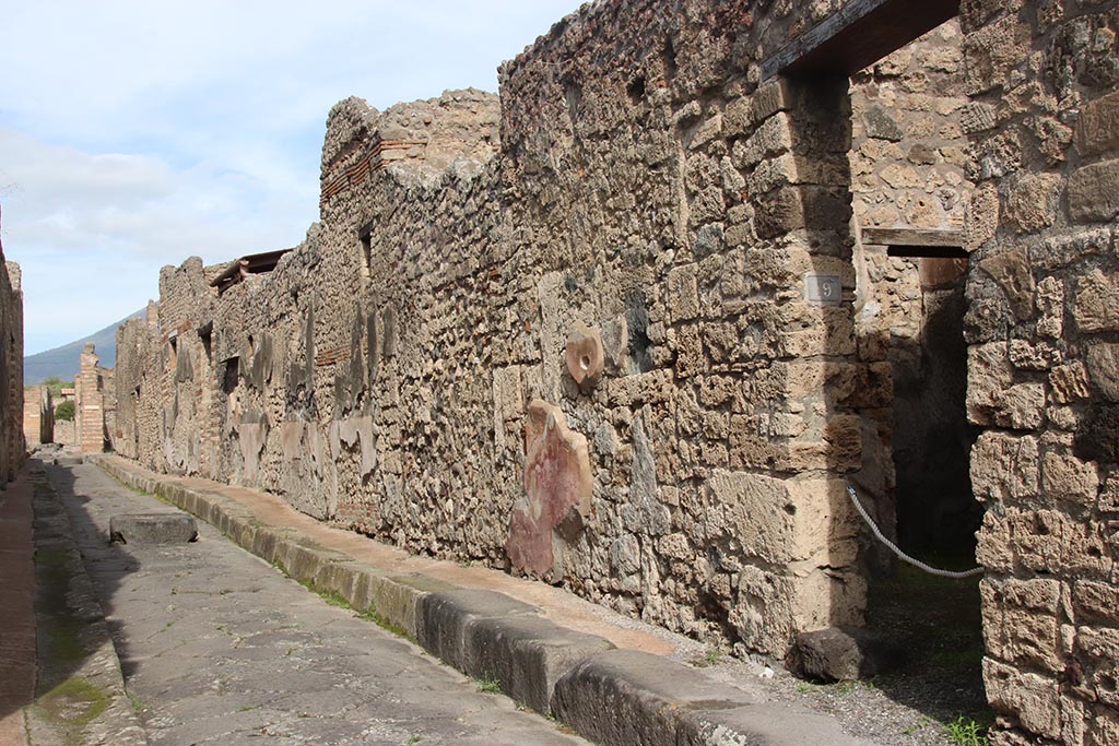 IX.7.19 Pompeii. October 2024. Looking north along east side of Vicolo di Tesmo from entrance doorway. Photo courtesy of Klaus Heese.