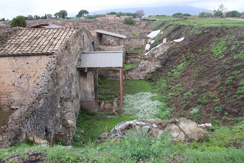 IX.7.19 Pompeii. October 2024.
Looking north from rear of Casina dell’Aquila towards a wall emerging from the unexcavated on south side of area 8.
Photo courtesy of Klaus Heese.