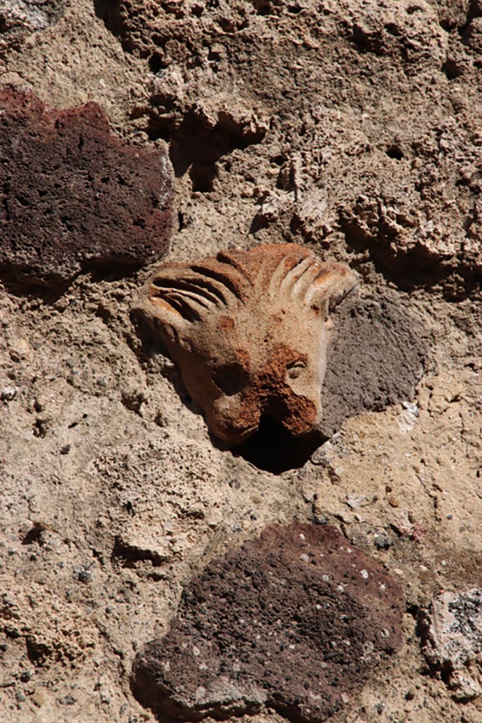 IX.7.21 Pompeii. Pompeii. October 2022.
Detail of terracotta lion decoration embedded in wall. Photo courtesy of Klaus Heese.