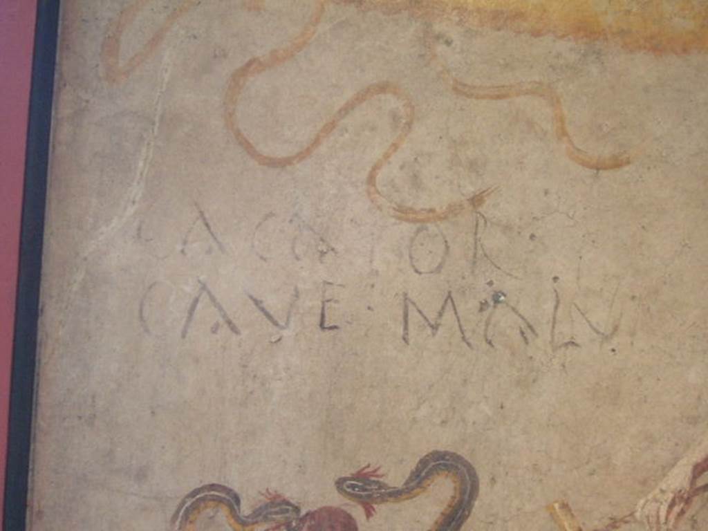 Cacator Cave Malu(m) inscription found on lararium wall painting of Isis Fortuna found in IX.7.21/22. Now in Naples Archaeological Museum. Inventory number: 112285. According to Giacobello, the house communicated with the workshop, across the atrium. In the corridor that led to the latrine, was found the fresco figuring Fortuna, a male figure and serpents, with the inscription Cacator cave malu(m). See Giacobello, F., 2008. Larari Pompeiani: Iconografia e culto dei Lari in ambito domestico. Milano: LED Edizioni. (p.250)
