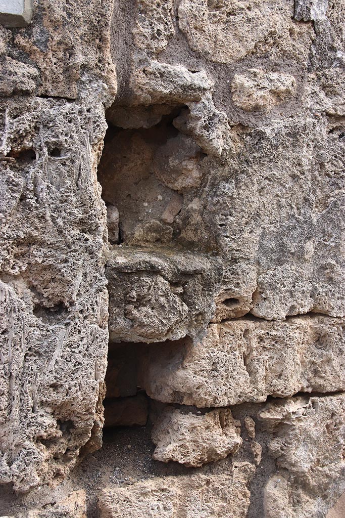 IX.7.25 Pompeii. October 2024.
Detail from east wall of entrance corridor. Photo courtesy of Klaus Heese.