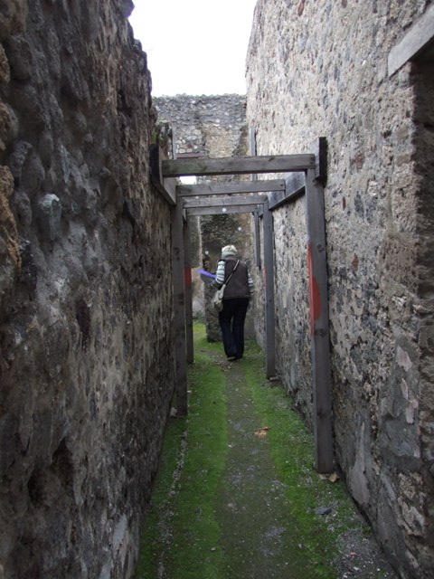 IX.8.6 Pompeii. March 2009.   Room 30, Corridor leading north.  