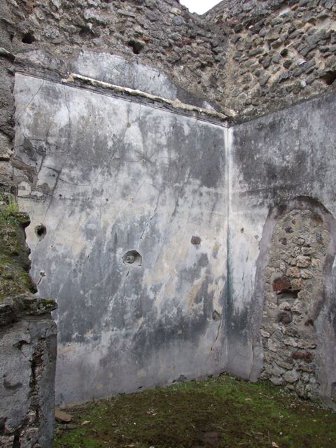 IX.8.6 Pompeii. March 2009.  Room 31, Frigidarium with pool.  Looking south.