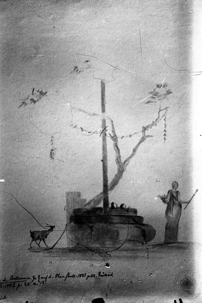 IX.8.6 Pompeii. March 2009.   Room 31. West wall.
