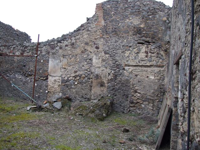 IX.8.6 Pompeii. March 2009.   Room 36, West wall.