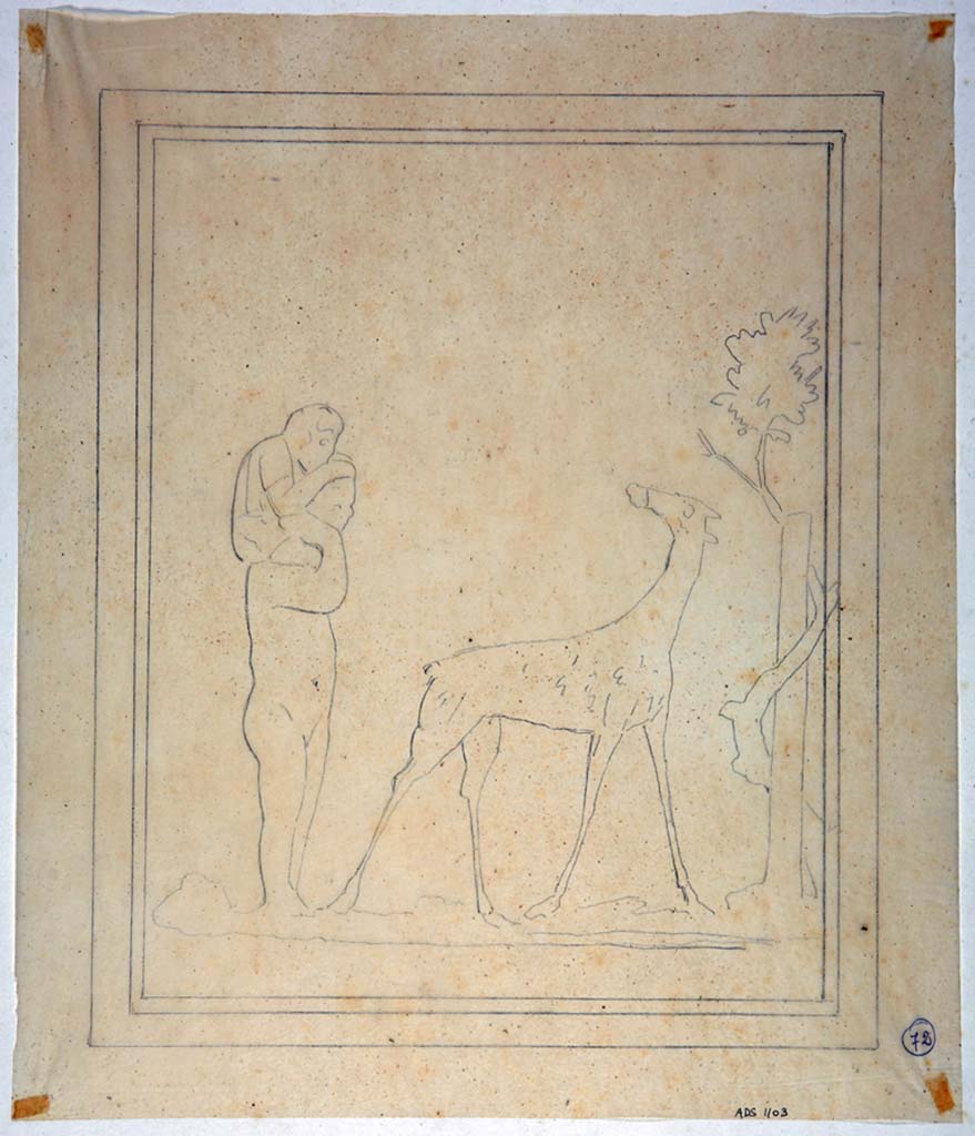 IX.8.6 Pompeii. Drawing by Geremia Discanno, of painting seen on east end of south wall of room to the left of the atrium.
The drawing shows a nude male African figure with a child on his shoulders; on the right is a giraffe that turns towards them and a tree twined round a pillar.
The painting has now faded and disappeared.
Now in Naples Archaeological Museum. Inventory number ADS 1103.
Photo � ICCD. http://www.catalogo.beniculturali.it
Utilizzabili alle condizioni della licenza Attribuzione - Non commerciale - Condividi allo stesso modo 2.5 Italia (CC BY-NC-SA 2.5 IT)
