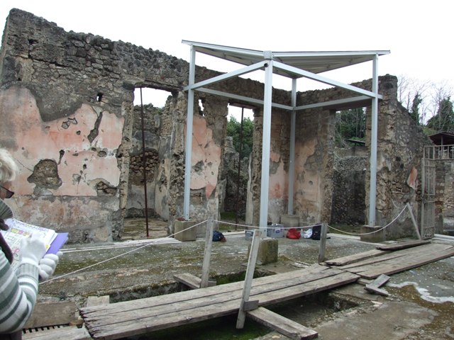 IX.8.6 Pompeii. March 2009. Room 5. North wall.