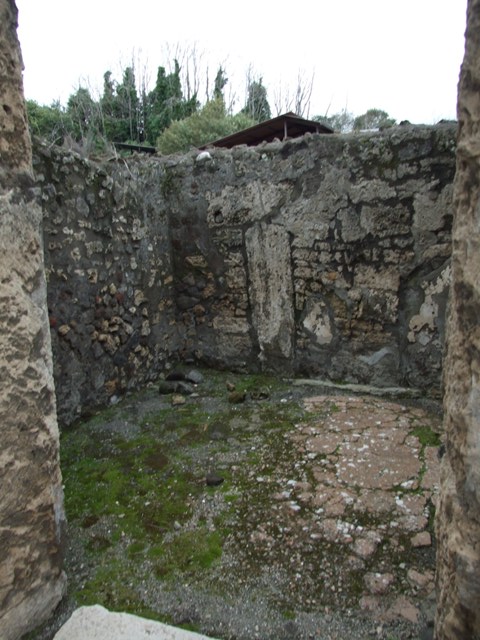 IX.8.6 Pompeii. March 2009. Room 6, North west corner.
