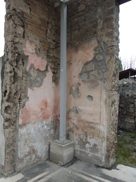 IX.8.6 Pompeii. March 2009. Room 7, West wall.