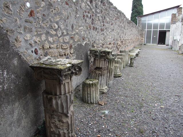 IX.8.6 Pompeii. March 2009.  Room 11. North upper wall.