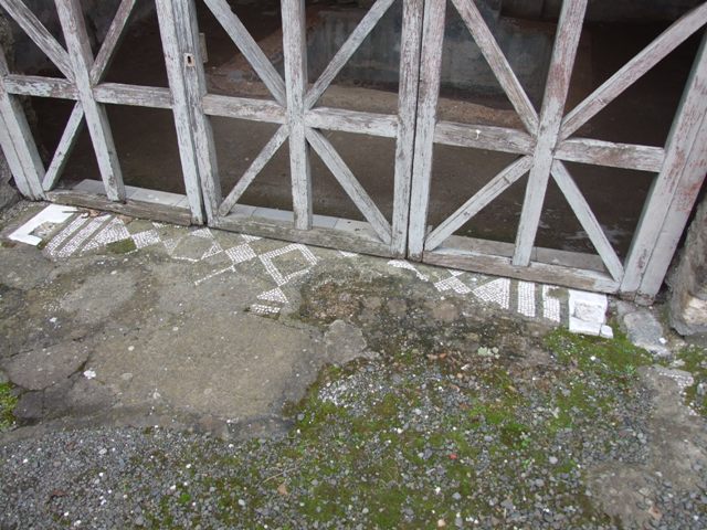 IX.8.6 Pompeii. March 2009.  South Portico area.  Looking west from outside Room 12.  Cuts in the sides of the lower columns indicate where there had been a wooden fence.  See Jashemski, W. F., 1993. The Gardens of Pompeii, Volume II: Appendices. New York: Caratzas. (p244)
