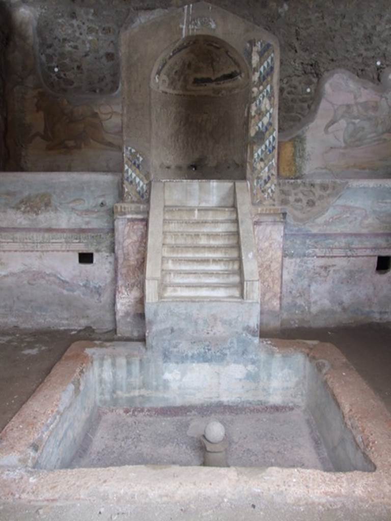 IX.8.6 Pompeii. March 2009. Nymphaeum south of peristyle. Nymphaeum and mosaic fountain with steps.