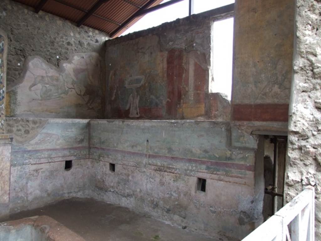 IX.8.6 Pompeii. March 2009. Nymphaeum south of peristyle. West side.